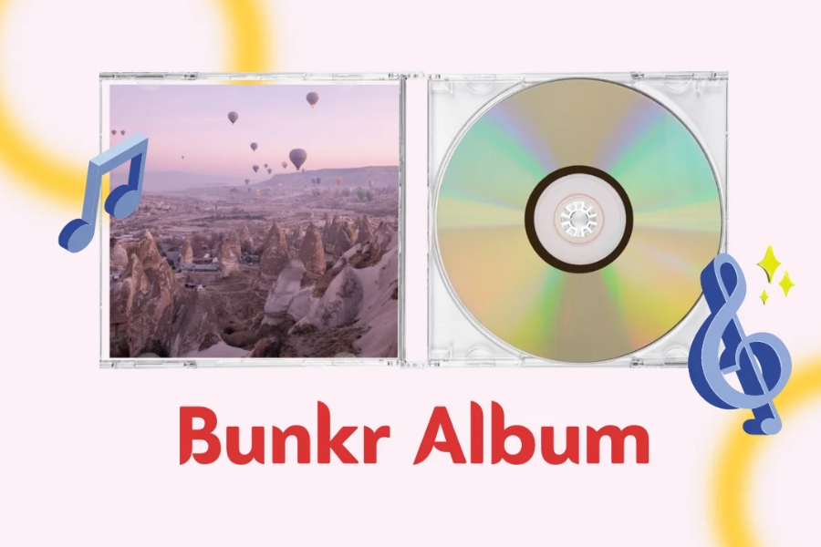 Bunkr Albums A Comprehensive Guide Assumira